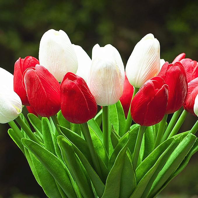 ENOVA HOME 20 Pieces Artificial Real Touch Tulips Flower Arrangement in Glass Vase with Faux Water for Home Decoration (White Red)