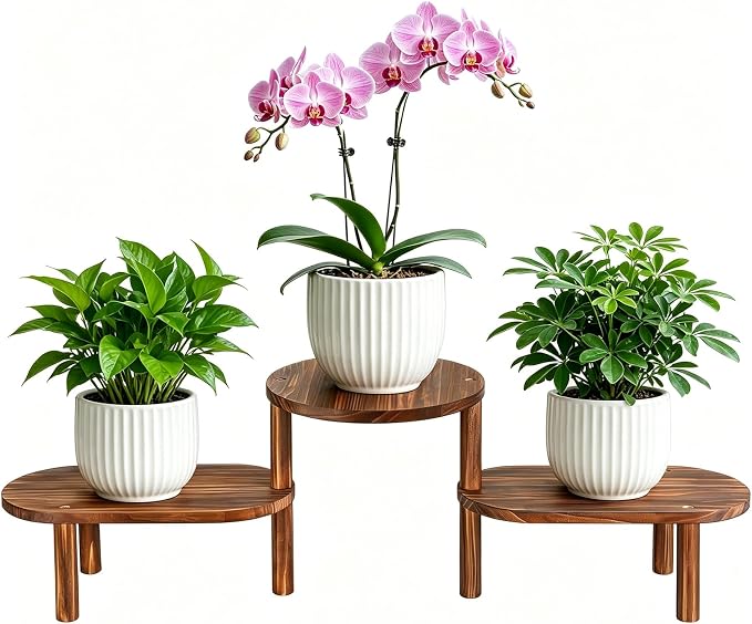 3 Tier Corner Plant Stand Indoor - Adjustable Wood Convex Flower Stand for Small Spaces, Heavy Duty Long Plant Shelf for Living Room Balcony Hallway