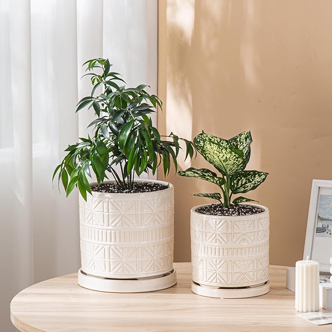 Ceramic Plant Pots Indoor-Outdoor: 8 Inch Embossed Planters with Drainage Hole & Saucer - Modern Decorative Flower Pots for Home Garden Patio Office Decor