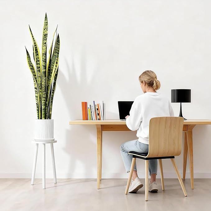 5-Pack Wood Plant Stands Indoor, Single Plant Stand for 6-22 Inch Pots, Mid-Century Modern Plant Stool, Tall Plant Stand for Large Plants Perfect Fit for Living Room, Balcony, Office(Retro White)