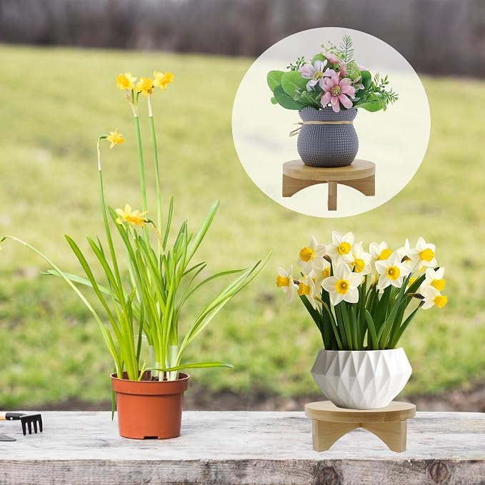 Oedema 6 Inch Indoor Plant Stand Round Solid Wood Flower Stand Mid Century Modern Plant Stand for Displaying, Small Plants, Desktop, Office & Home Decor, 6.02inch/153mm