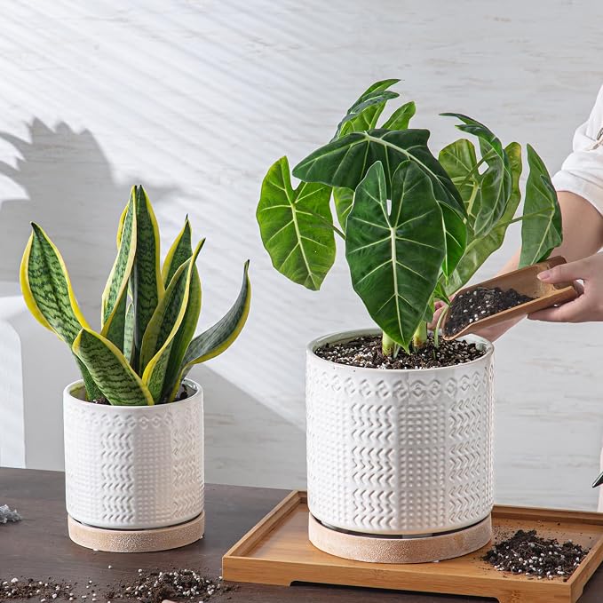 Indoor-Outdoor Ceramic Plant Pots: 8 Inch Flower Pots with Drainage Hole & Saucer - Decorative Ceramic Pots for Plants Herbs Succulents - Home Garden Patio Lawn Use