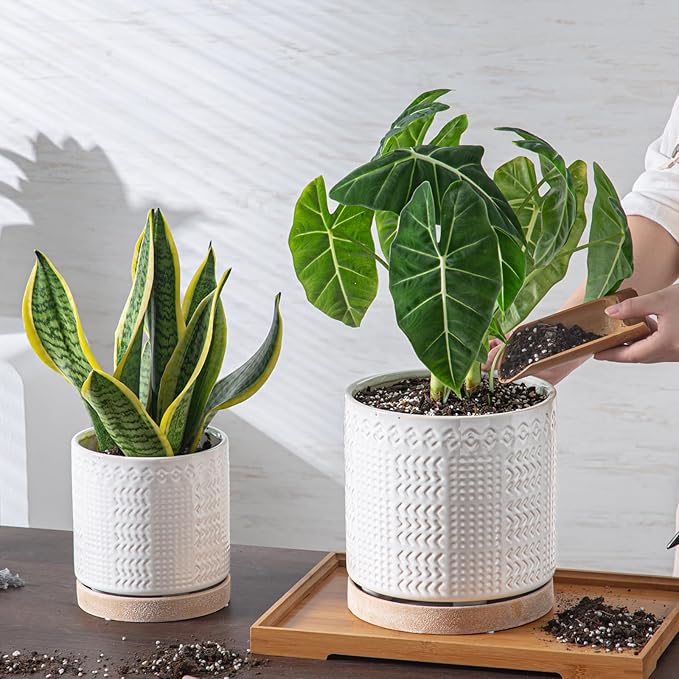 Indoor-Outdoor Ceramic Plant Pots: 6 Inch Flower Pots with Drainage Hole & Saucer - Decorative Ceramic Pots for Plants Herbs Succulents - Home Garden Patio Lawn Use