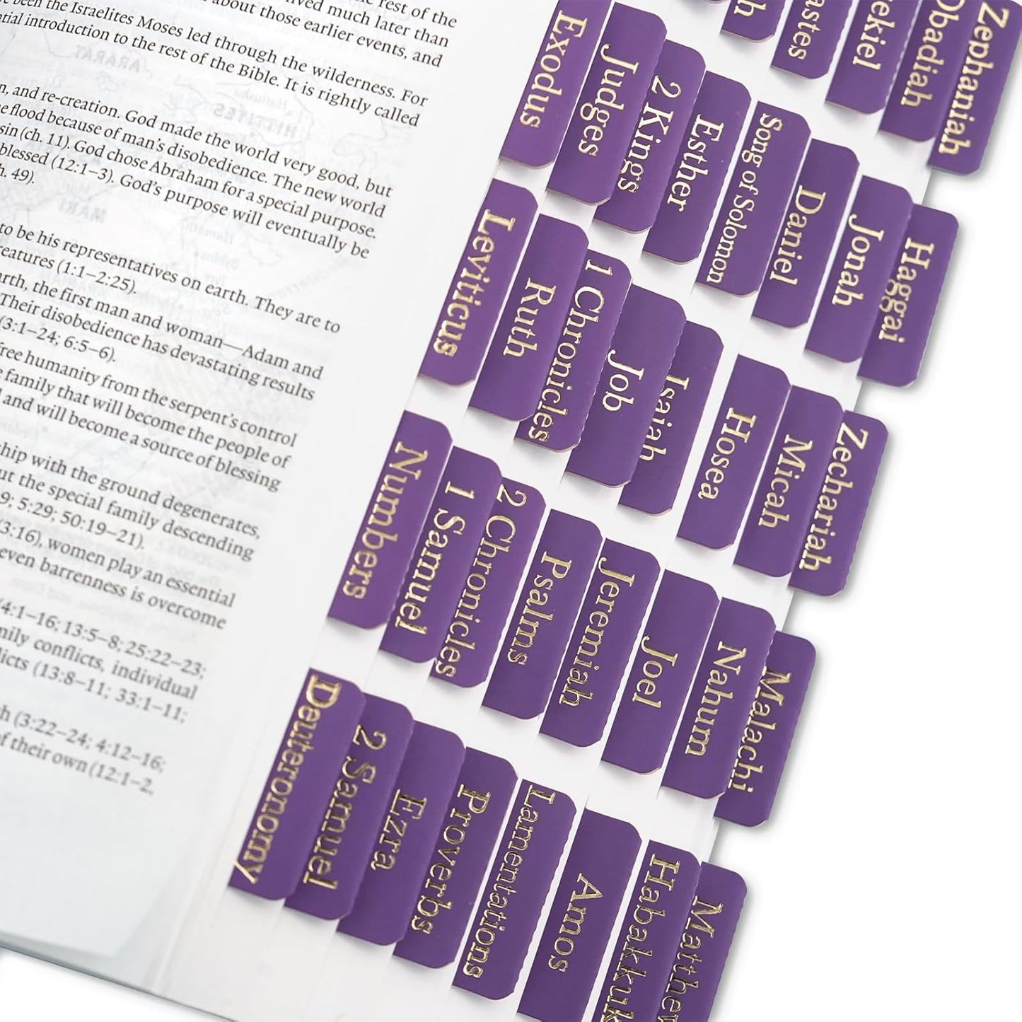 XKDOUS Bible Tabs - Purple Leather with Gold Accents | 66 Tabs for Old & New Testament + 9 Blank Tabs