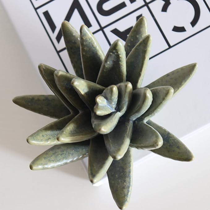 Ceramic Succulent Flowers Table Top with Stable Base, 3D Handmade Tablescape Decorative (Cactus)