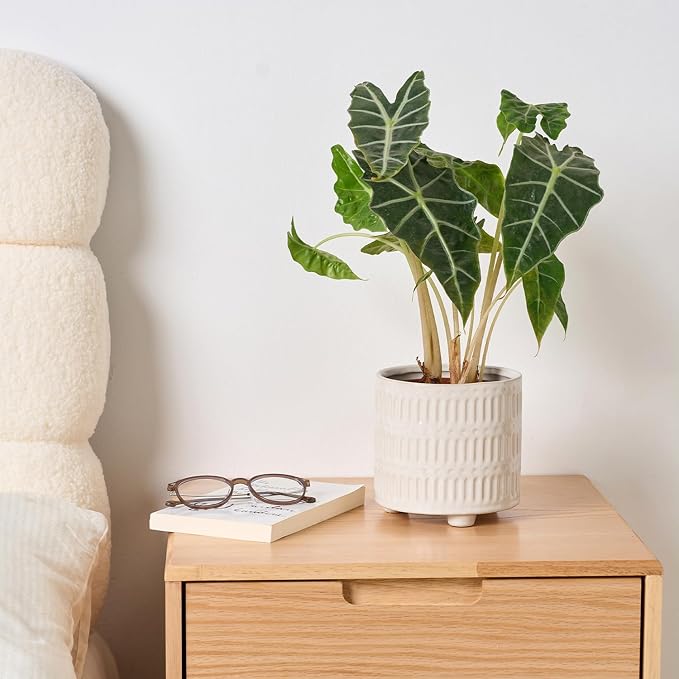 STHIE 5 Inch Ceramic Planters for Indoor Plants, White Cactus Snake Plant Pots with Drainage, Unique Design Round Flower Pot for Home Decoration