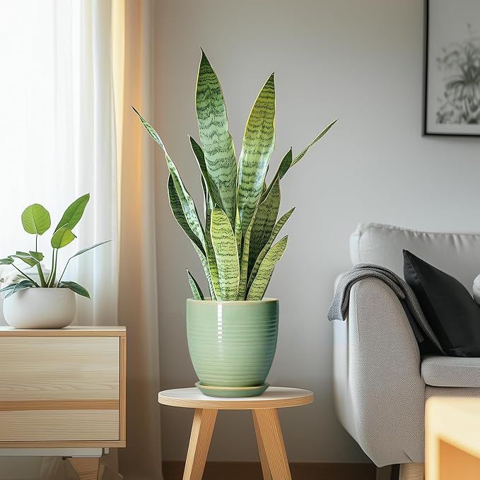Ceramic Plant Pots - 6 Inch Ceramic Planter with Drainage Hole and Saucer, Modern Planters for Indoor Outdoor Plants, Round Flower Pots, Office House Decor, Gifts for Women Men, Bright Green