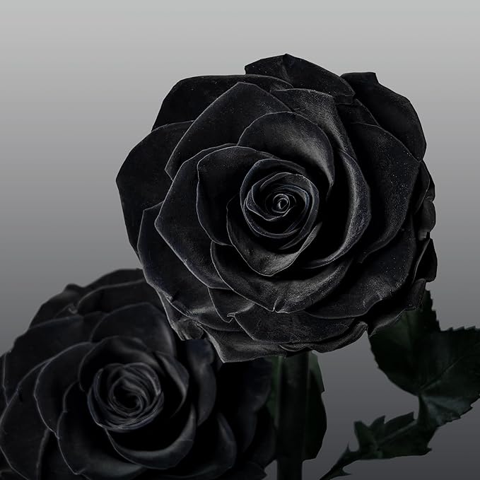 Glass Rose Preserved Flowers, 12.3inch Forever Roses Gift, Flowers for Delivery, Long Lasting Eternal Flower Rose Gifts for Women Mom Wife Girlfriend Grandma Black