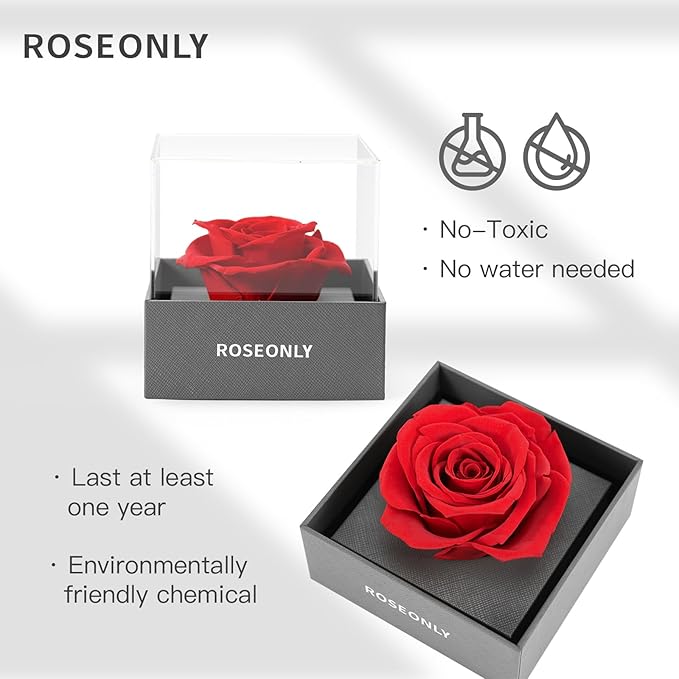 Preserved Rose Romantic Gifts for Wife Female Womens Real Red Roses Flowers for Valentine's Day Christmas Birthday Mother's Day Anniversary (Mini)