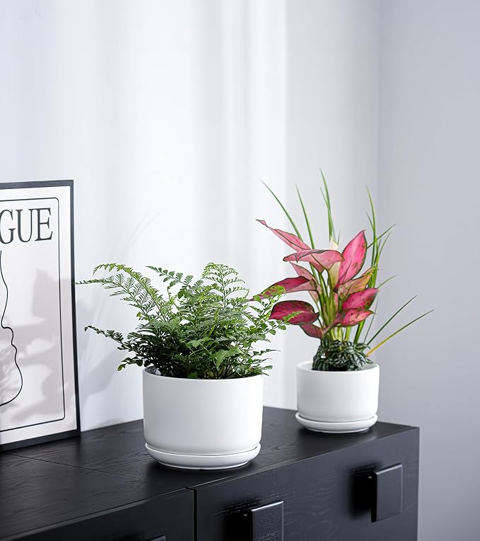 Ton Sin Ceramic Pots for Plants, 4.4+5.4+6.9 Inch Set of 3, Matte White Flower Pot & Plant Pot with Drainage Hole Saucer, Small Indoor Planters for Succulent Cactus, Home Decor Gift