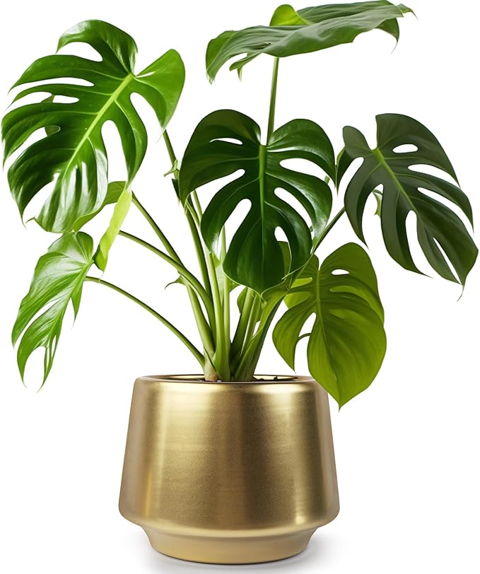 Gold Indoor Plant Pot 7 Inch Large Ceramic Planter With Drainage Hole - Modern Brass Flower Pot Centerpiece Vase - Decorative Greenery Potted for Indoor Plants
