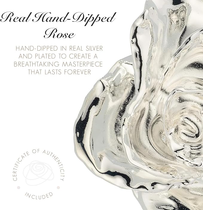 Forever Rose Enchanted Preserved with Real Silver Rose Lasts Forever | Includes Wood Base & Glass Dome | Silver Dipped Rose Assembled by Hand in The USA | Romantic Gifts for Women