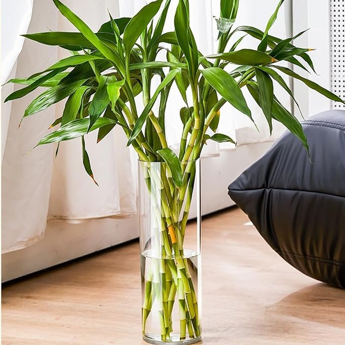 Clear Acrylic Decorative Vase for Flower Arrangements, Break-Resistant Tall Cylinder Vase for Wedding Centerpieces, Unbreakable Modern Plastic Vase for Home Decor