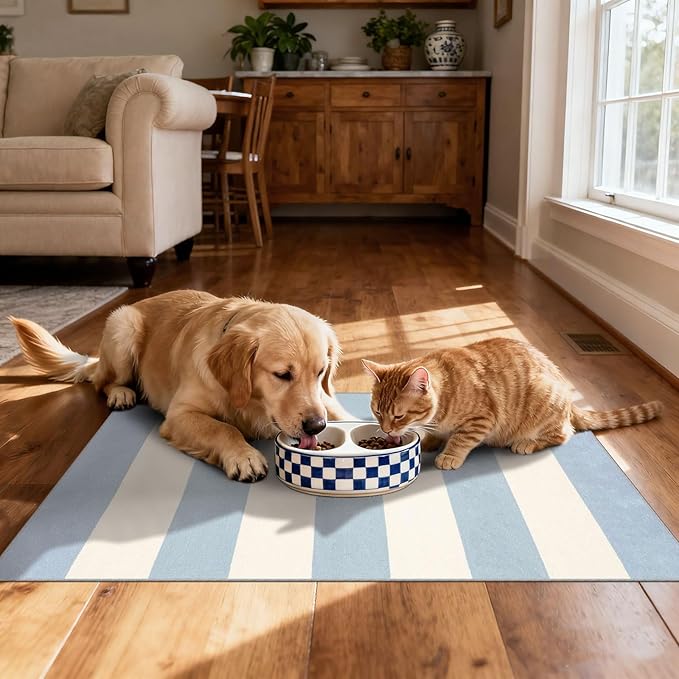 Front Door Mat Outside Entrance - 2x3 Sky Blue White Non-Slip Washable Doormat Indoor Outdoor Entrance Striped Rug Small Throw Rugs for Entryway Bedroom Kitchen Laundry Room Summer Porch Decor