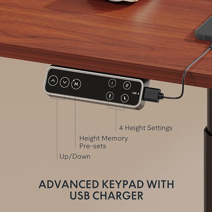 FLEXISPOT E6 Pro Oval Leg Dual Motor 3 Stages Standing Desk 60x24 Inch Electric Height Adjustable Whole-Piece Board Electric Sit Stand Up Desk 150KG Load Capacity (Black Frame + Mahogany Desktop)