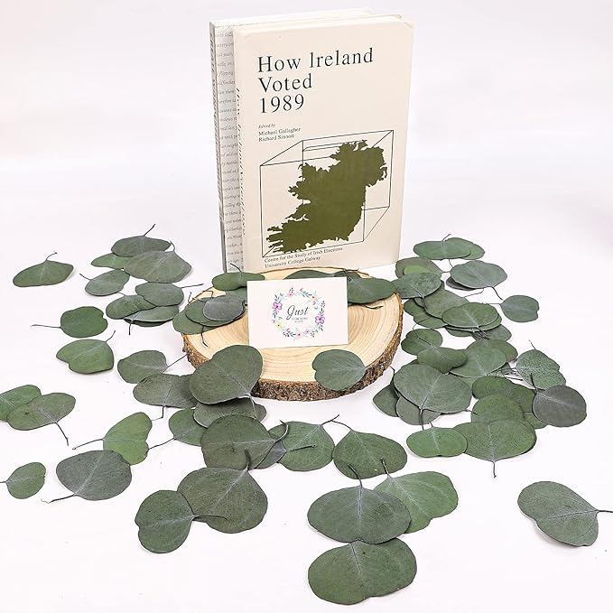 Real Eucalyptus Leaves for Shower 500PCS Green Dried Eucalyptus Leaves Bulk for Wedding Home Party Bridal Showers Baby Shower DIY Garland Cake Table Center Spring Decorations