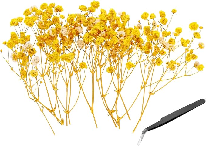 PATIKIL Mini Dried Gypsophila Flower Kit, 30Pcs 4 Inch Yellow Natural Pressed Floral Bundles with Tweezer for DIY Resin Crafts Gift Wedding Christmas Card Decor Flower Bouquets