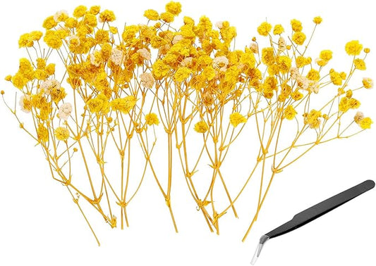PATIKIL Mini Dried Gypsophila Flower Kit, 30Pcs 4 Inch Yellow Natural Pressed Floral Bundles with Tweezer for DIY Resin Crafts Gift Wedding Christmas Card Decor Flower Bouquets