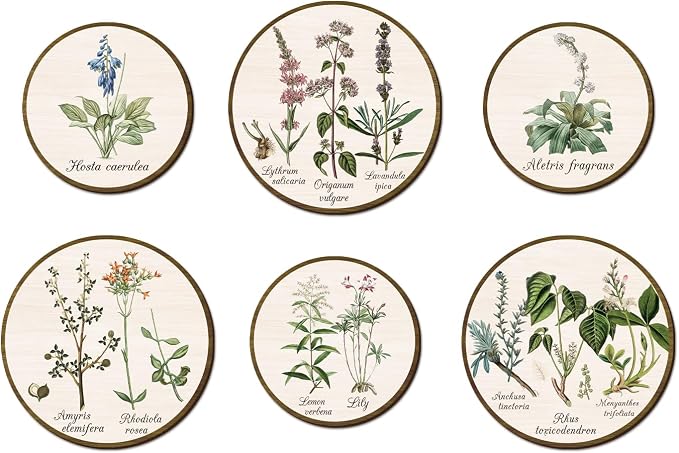TOARTi 6pcs Boho Plant Wall Art Set(9.9”x3/7.9”x3), Minimalist Green Botanical Round Wooden Sign Vintage Plant Herbs Wall Decor Farmhouse Natural Botanical Wall Hanging for Living Room Bedroom