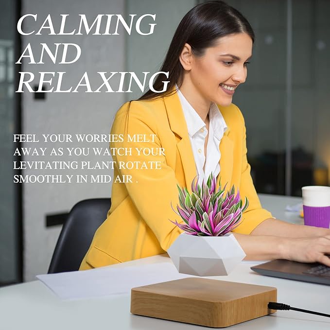 Levitating Air Bonsai Pot, Cool Stuff,Rotation Flower Pot Planters, Potted Plant Home Desk Decor in Flower Pots & Planters from Home & Garden on (Light Color)