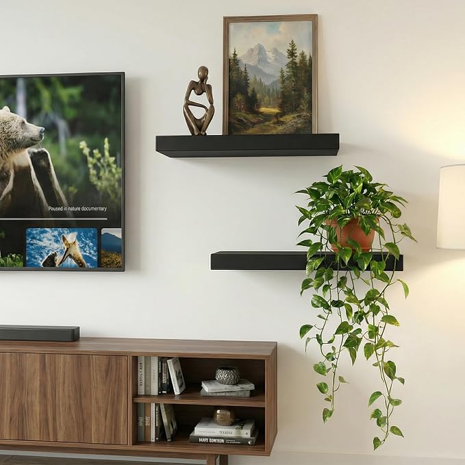 17.5in Floating Shelves for Wall, Wall Mounted Shelves for Decor Storage Set of 2, Floating Shelf for Bedroom, Bathroom, Living Room and Kitchen（Black）