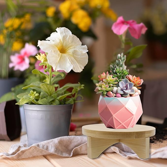 Oedema 6 Inch Indoor Plant Stand Round Solid Wood Flower Stand Mid Century Modern Plant Stand for Displaying, Small Plants, Desktop, Office & Home Decor, 6.02inch/153mm