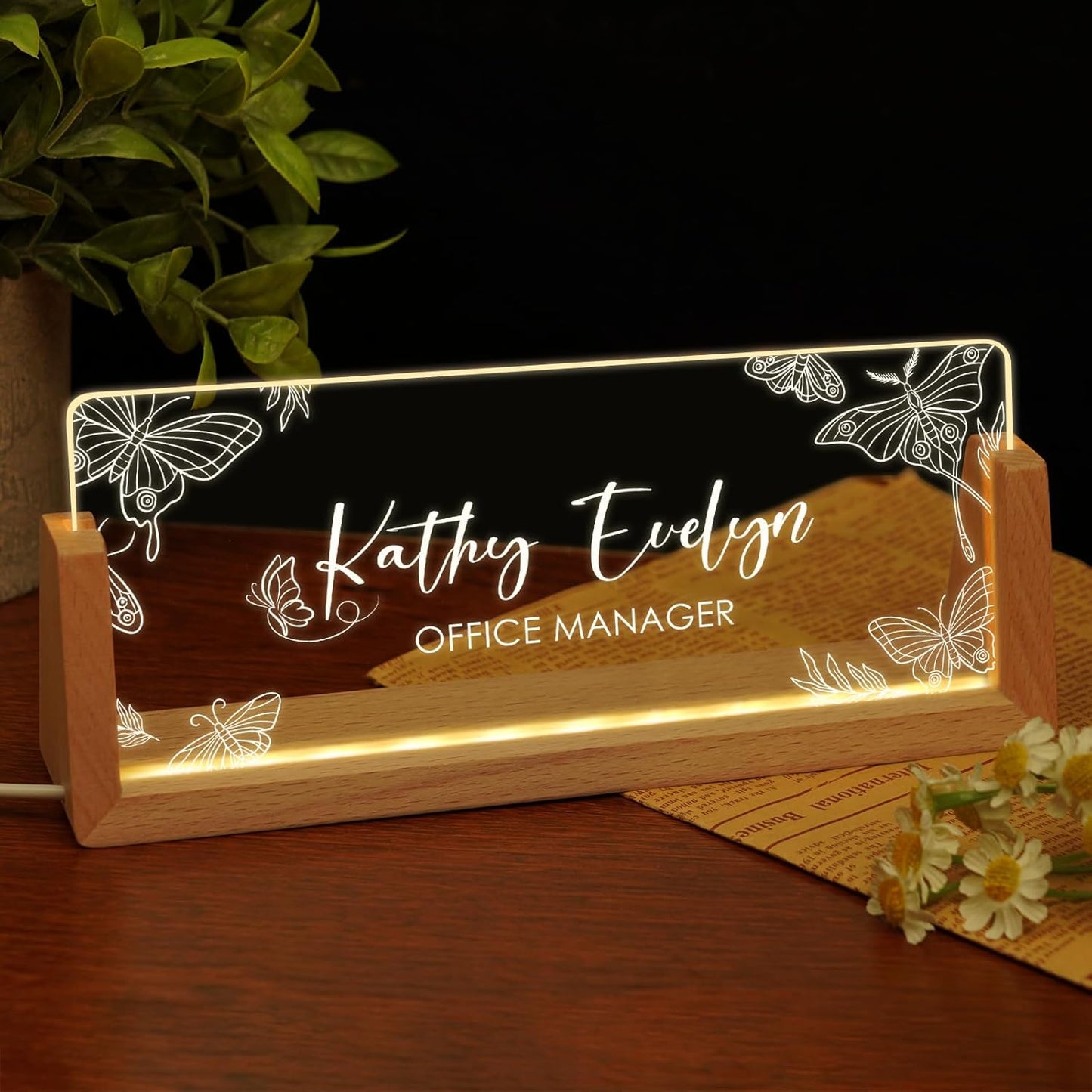 Skiennix Personalized Light-Up Acrylic Desk Name Plate - Custom Office Gift for Boss, Coworkers & Teachers