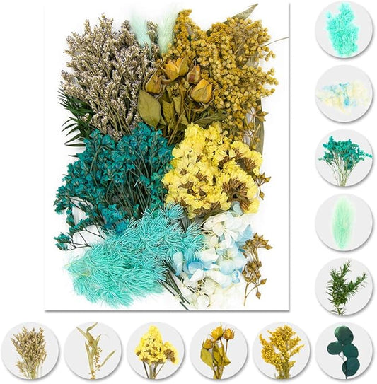 Vignee Real Dried Pressed Leaf Flowers-Multiple Colorful Pressed Flowers Daisies for Craft Resin Jewelry Making Art Craft DIY（Blue）