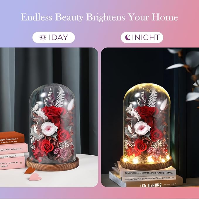 Eternal Rose Rose Red Flower Preserved Long Lasting Stable Color Natural Material Symbol of Everlasting Love for Wife Mothers Select Anniversary Rose Gift Birthday Present Christmas