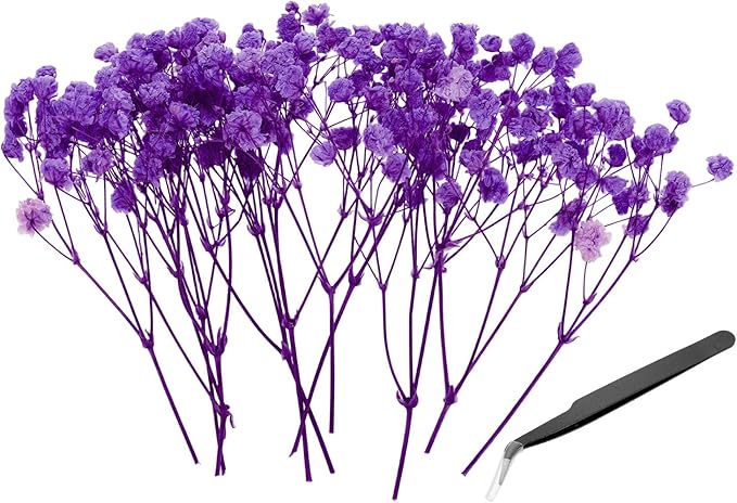 PATIKIL Mini Dried Gypsophila Flower Kit, 30Pcs 4 Inch Rose Purple Natural Pressed Floral Bundles with Tweezer for DIY Resin Crafts Gift Wedding Christmas Card Decor Flower Bouquets