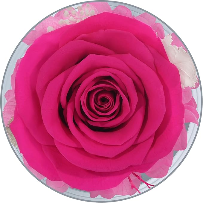 Sunia Preserved Flower Rose Gift for Women - Mother's Day Birthday Gifts for Mom Wife Grandma, Glass Angel Figurines Forever Real Roses Gifts for Her Valentine Day Thanksgiving﻿ (Rose red)