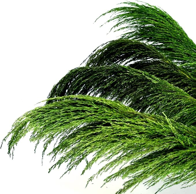 Pampas Grass Decor Tall,Long Pampas, Large Pompas Floral, Elegant Feather Flowers for Wedding Decorations, Living Room Decor (Natural Green, 6pcs 43.3"(110cm))