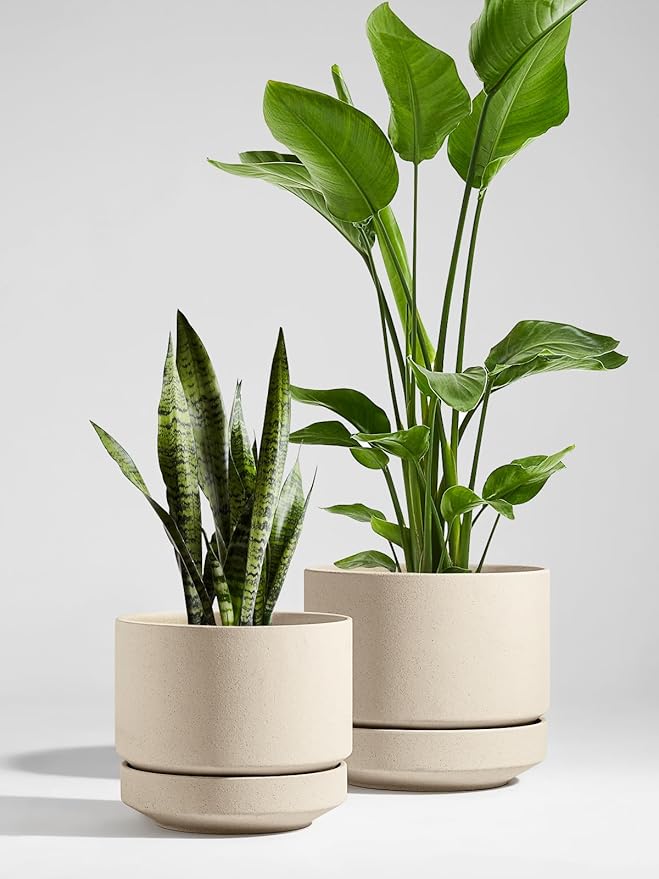 LE TAUCI 12 Inch Pots for Plants with Saucer, Ceramic Indoor Planter Pot for Plants with Drainage Hole, Mesh Pad & Plug Included, Unglazed Porous Ceramic, Modern for Home and Office, Speckled Oat