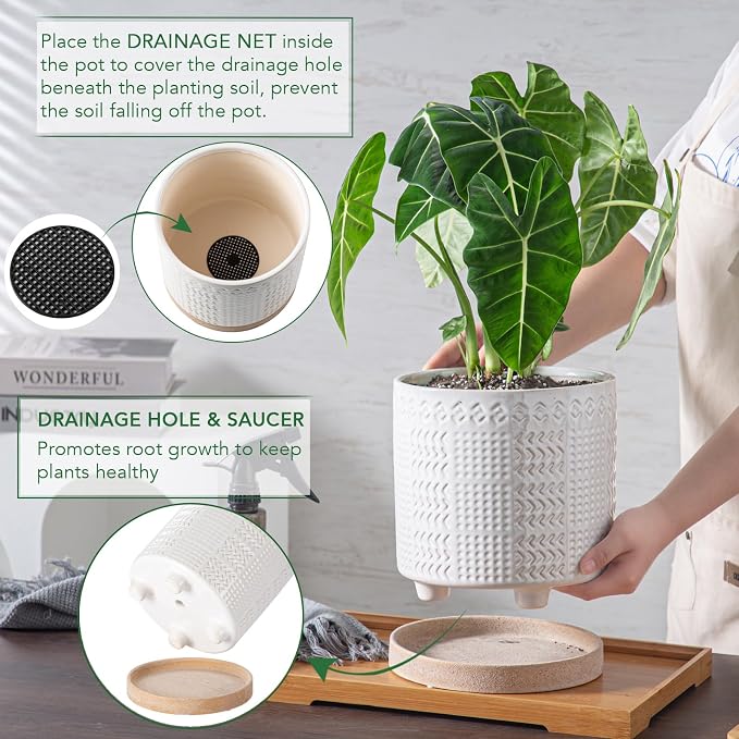 Indoor-Outdoor Ceramic Plant Pots: 8 Inch Flower Pots with Drainage Hole & Saucer - Decorative Ceramic Pots for Plants Herbs Succulents - Home Garden Patio Lawn Use