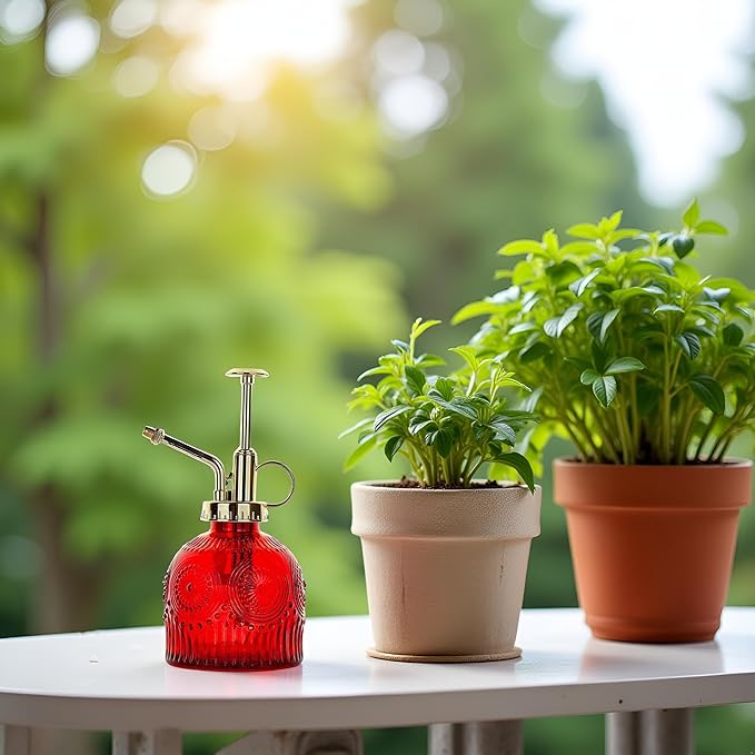 Glass Plant Mister Spray Bottle, 230ML Vintage Plant Spritzer, Succulent Watering Bottle Glass with Top Pump, Small Plants Sprayer Watering Can for Indoor Outdoor House(Red)