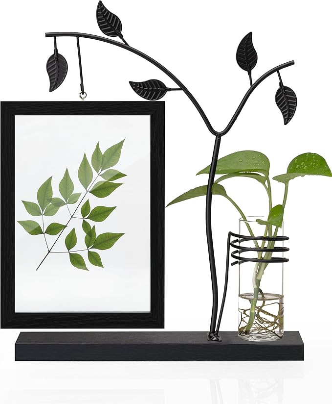 Afuly 5x7 Picture Frame Black Family Picture Frames with Metal Tree Stand Glass Vase Modern Desk Photo Frame for Double Sided Glass Display Wedding Birthday Gifts for Women Couple Mom