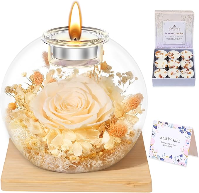 DEEMEI Gifts for Women Birthday Gifts for Women Preserved Real Rose in Glass Dome with Scented Fresh Flowers for Delivery Prime Eternal for Her Mom Grandma Wife Girlfriend Daughter, Champagne