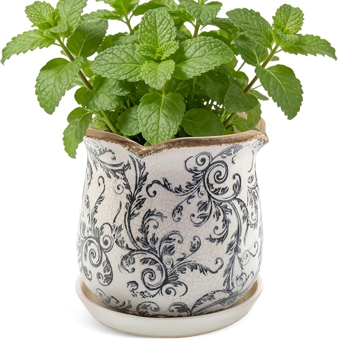Ceramic-Planters-for-Indoor-Plants with Saucer, 6 inch Vintage Ice Crackle Glaze Plant Pots with Drainage Holes, Decorative Flower Pots for Outdoor Garden Home Decor, Tuscan Pot for Plant