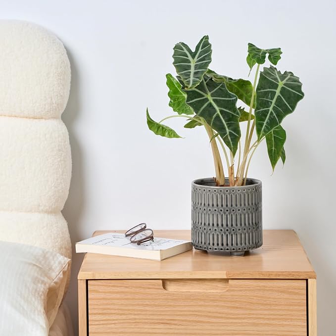 STHIE 5 Inch Ceramic Planters for Indoor Plants, Gray Cactus Snake Plant Pots with Drainage, Unique Design Round Flower Pot for Home Decoration
