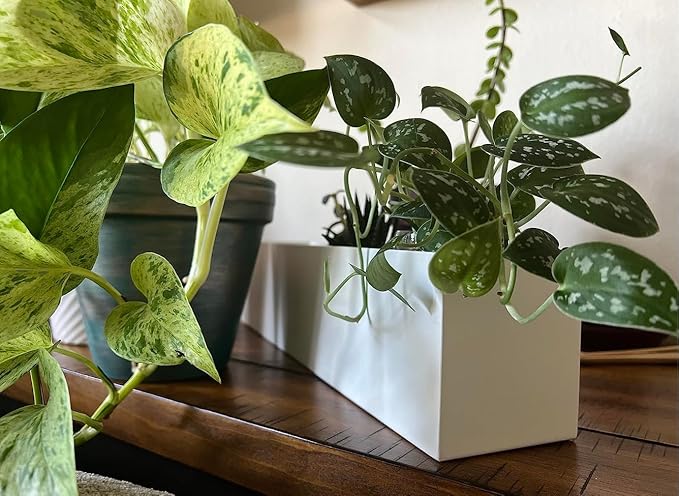 Modern 16" White Steel Trough Planter - Suitable for Indoor Use