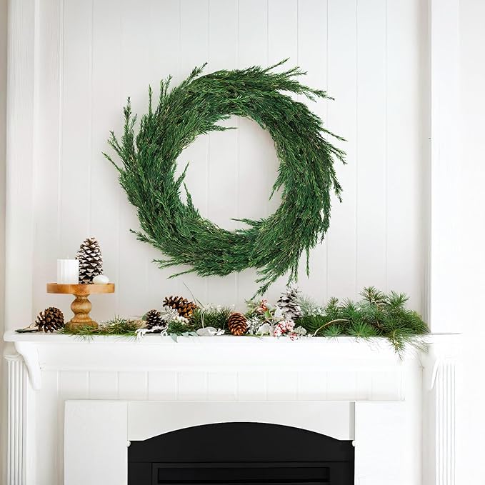 Dried Greenery Stem Decor, 2 Bundles 17" Real Green Melaleuca Bracteata Branch Preserved Plant for Home Vase Floral Design DIY Arrangement Fragment Spring Decorations (Natural Green)