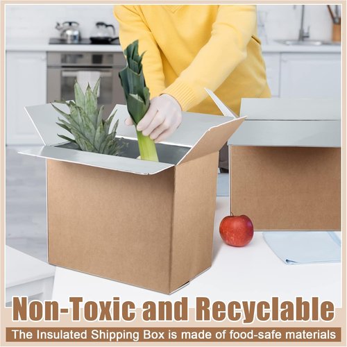 Henoyso Large Insulated Shipping Box - 5 Pcs 19" x 12" x 16" for Frozen Food with Foil Liner