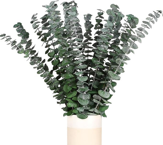 Real Dried Eucalyptus Stems, 20PCS Preserved Eucalyptus Plant 17inch Fresh Eucalyptus Greenery Plant for Vase Home Shower Wedding Festival Home Decoration