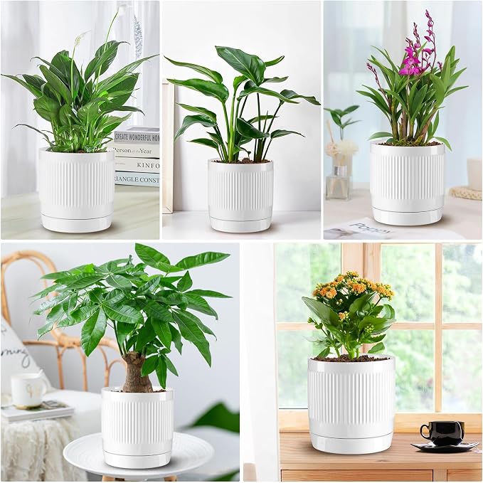 Vanavazon 6 Inch Glazed Ceramic Plant Pots with Drainage Hole and Saucer, Cylinder Indoor Planters for All House Plants, Modern Decor for Home & Office, Set of 2 (White)