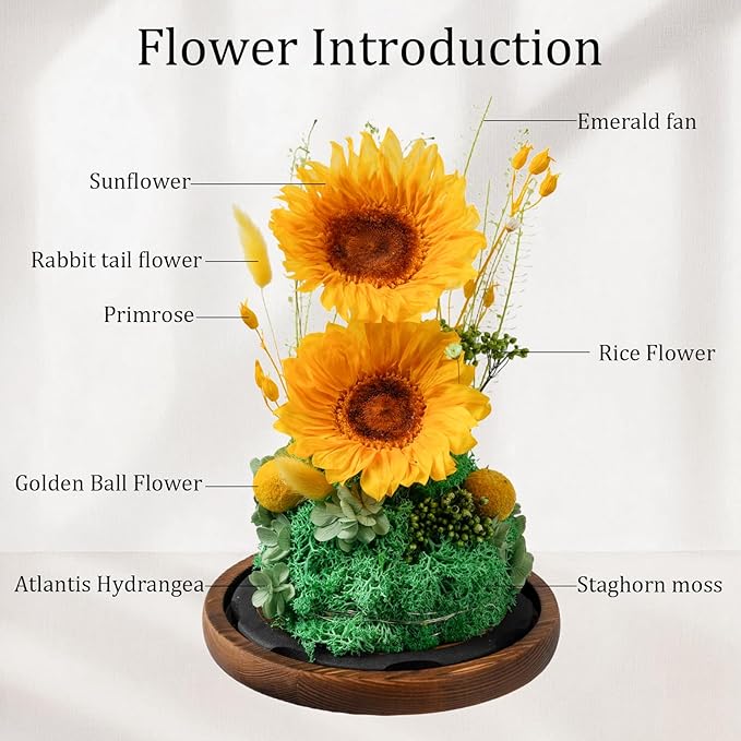 Flowers for Delivery - Forever Flowers Sunflower in Glass Dome with LED Lights, Large Size Preserved Sunflower Gifts for Women, Mom, Wife, Friend -Birthday, Valentine's Day Gift (Sunflower)