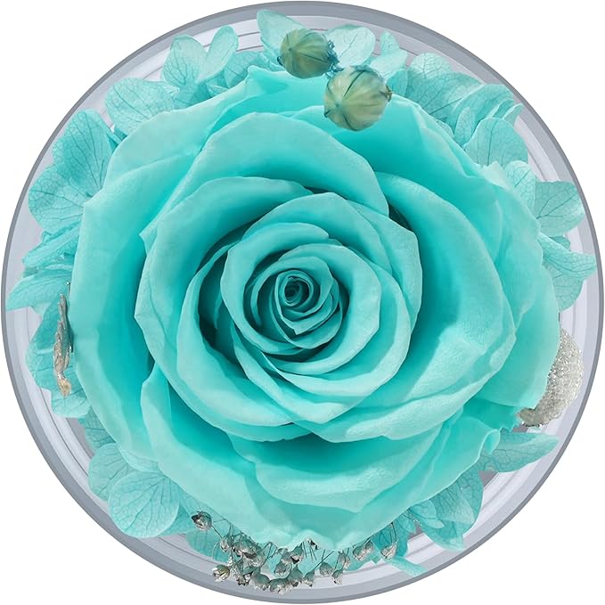 Sunia Preserved Flower Rose Gift for Women - Mother's Day Birthday Gifts for Mom Wife Grandma, Glass Angel Figurines Forever Real Roses Gifts for Her Valentine Day Thanksgiving﻿ (Aquamarine)
