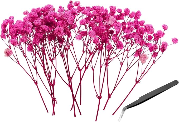 PATIKIL Mini Dried Gypsophila Flower Kit, 30Pcs 4 Inch Rose Red Natural Pressed Floral Bundles with Tweezer for DIY Resin Crafts Gift Wedding Christmas Card Decor Flower Bouquets