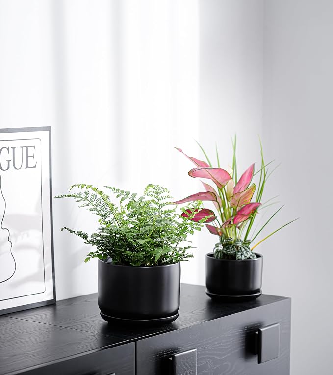 Ton Sin Black Ceramic Pots for Plants, 4.4+5.4+6.9 Inch, Planters with Drainage Hole and Saucer, Indoor Flower Pots for Succulents, African Violets, Small House Plants