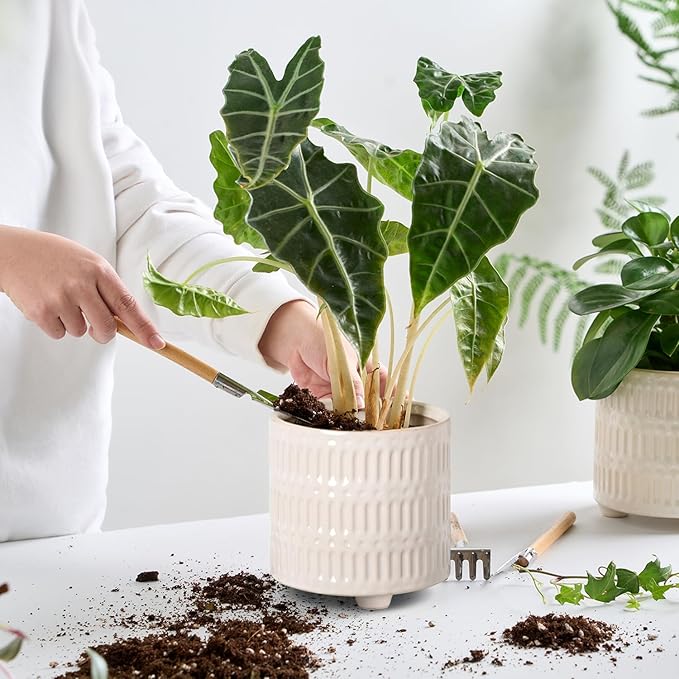 STHIE 5 Inch Ceramic Planters for Indoor Plants, White Cactus Snake Plant Pots with Drainage, Unique Design Round Flower Pot for Home Decoration