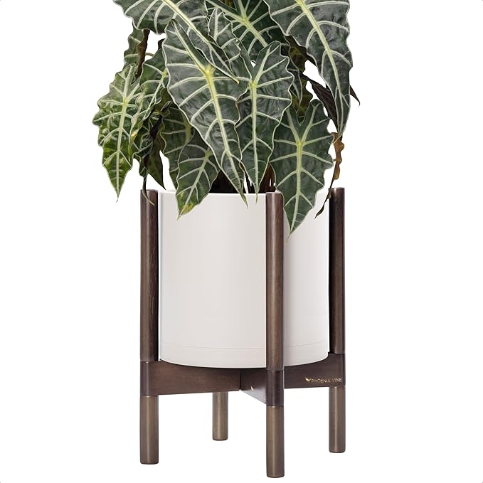 D'vine Dev Planter Pot with Stand - 10 Inch Plastic Cylinder Flower Pot with Wood Planter Holder for Indoor, Oatmeal Pot + Walnut Color Stand, 55-C-L-4